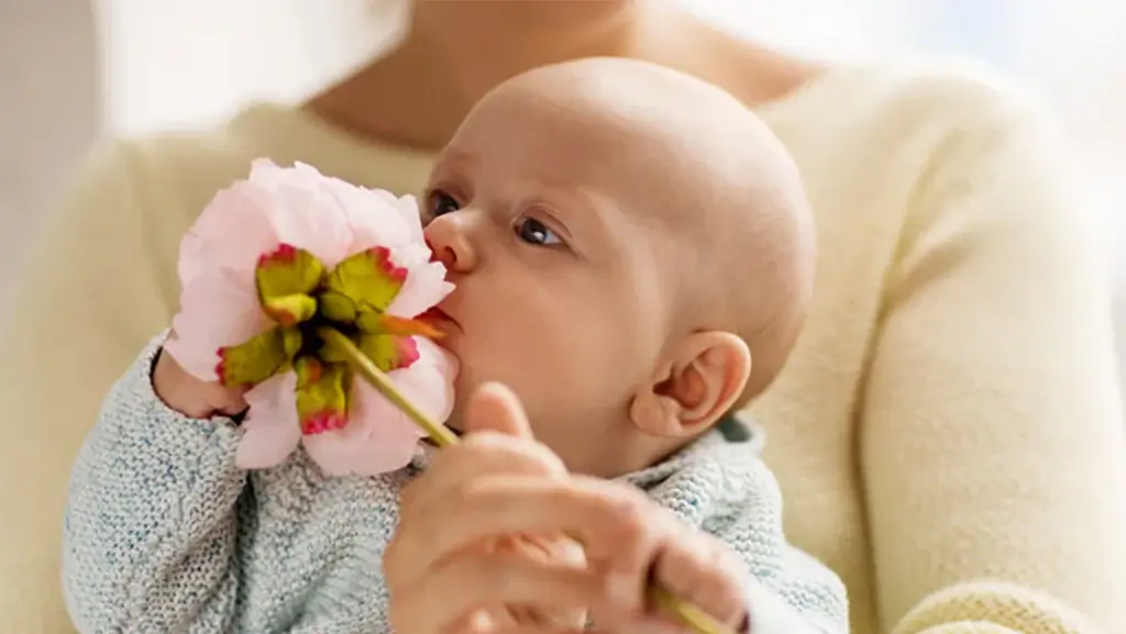 عطر کودک برند Mustela حجم 50 میلی لیتر